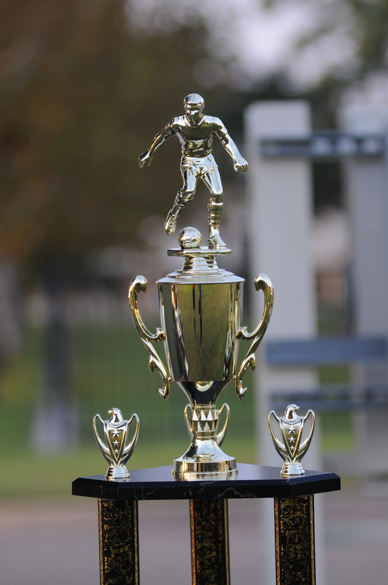The 334th Training Squadron Gators defeated the 333rd Training Squadron Spartans in the intramural soccer championship Sept. 25, 2012, at Keesler Air Force Base, Miss., with a score of 5-3.  (U.S. Air Force photo by Kemberly Groue)