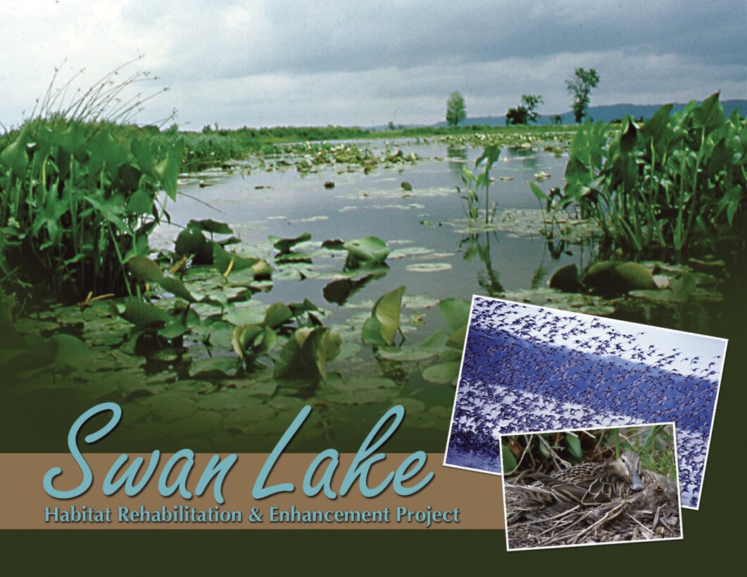 Major Features: A riverside levee reduces sediment input into the lake. Two interior closures were installed to divide the lake into three independently managed units. Islands were constructed to protect the area from waves and current. Pumps and water control structures were installed to re-create historic water-level variations; and deep-water habitat was created for fish

Spotlighted Species: Waterfowl & shorebirds

Interesting Facts: Swan Lakes contains 3,000 acres and is the largest backwater lake on the lower Illinois River, providing some of the most important wetland habitat in the region for migratory birds and big river fish.
