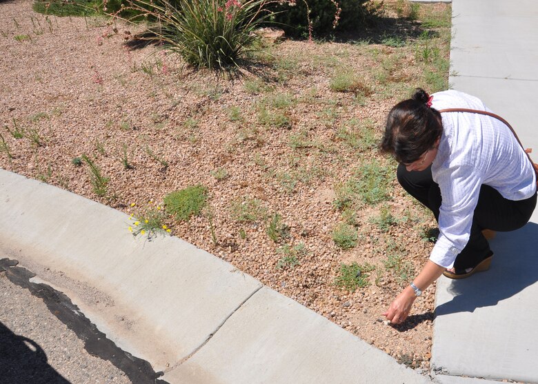 Fran Firouzi, a U.S. Army Corps of Engineers Los Angeles District project manager for Formerly Used Defense Sites, looks at the surface of a property near Kingman, Ariz., for signs of hazardous material. The District is working on a plan to contact residents about a Time Critical Removal Action for the site which was used as a skeet range when the area was part of the Kingman Ground-to Gound Gunnery Range. 