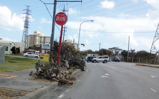 Typhoon Jelawat, which made landfall on Okinawa Sept. 29, left the island littered with debris, uprooted trees, overturned vehicles and caused other destruction. Cleanup crews began working immediately upon declaration of Tropical Cyclone Condition of Readiness-Recovery to repair the damage and restore full capabilities.