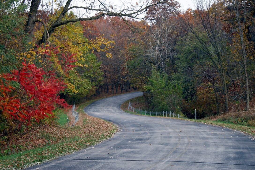 Cherry Glen Picnic Scenery