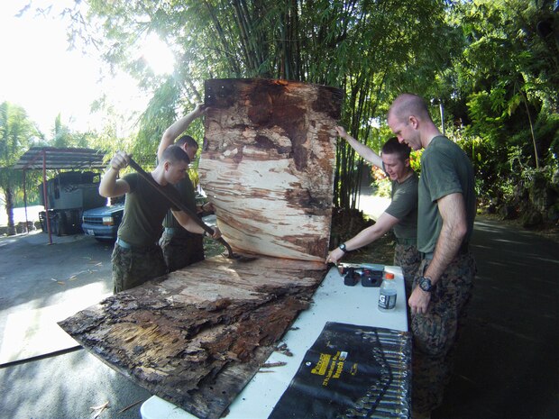 Marines and Sailors with the 31st Marine Expeditionary Unit pry open pieces of a World War II era door during a restoration project here, September 28. The Marines and Sailors cleaned the surrounding area of the museum, repaired shed doors and cut down an old tree, following scheduled readiness training in Guam.  The 31st MEU is the only continuously forward-deployed MEU and is the Marine Corps’ force in readiness in the Asia-Pacific region.