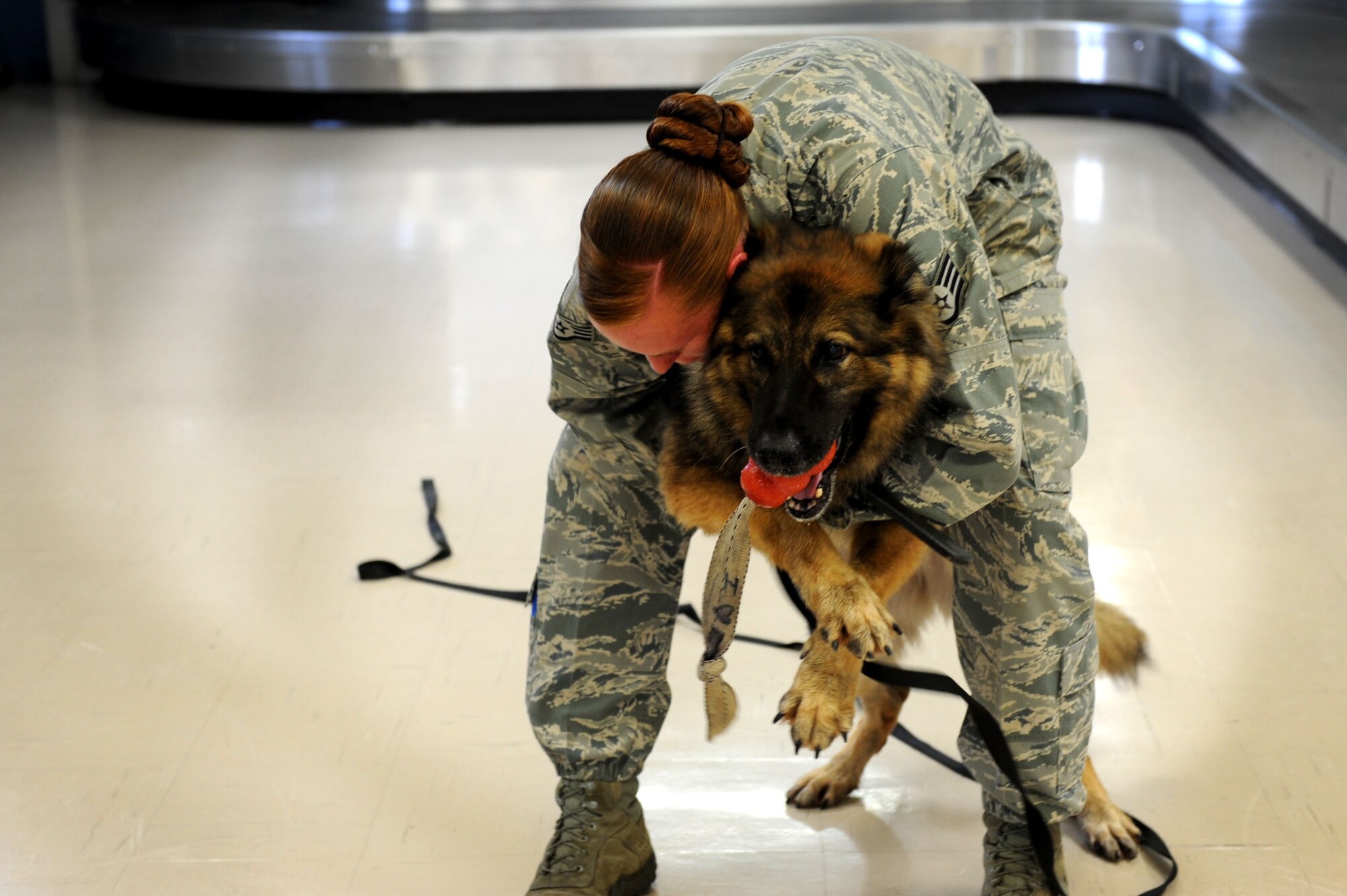 U.S. Air Force Staff Sgt. Codi Carter, 18th Security Forces Squadron military working dog handler, praises Shara, military working dog, after finding explosive ordnance during base certification on Kadena Air Base, Japan, Oct. 2, 2012. The 18th SFS implements MWDs into their career field to help find drugs and bombs, scout out suspects if they have fled the crime scene and conduct building searches for individuals. (U.S. Air Force photo/Airman 1st Class Brooke P. Beers)