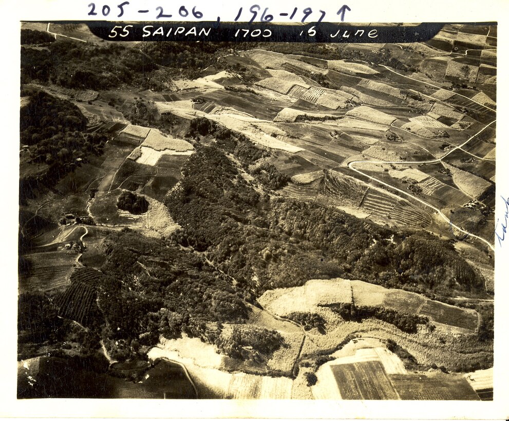 "Picture taken on Saipan 16 June, 1944. The fields at Tenian were even better than this."
