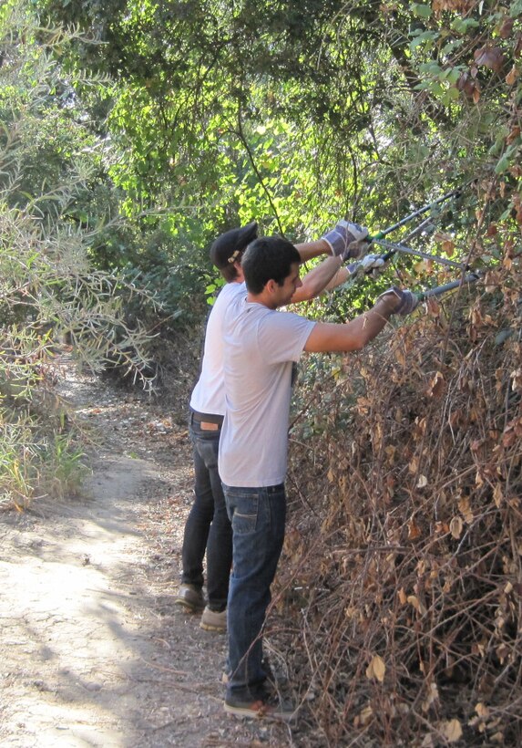 Volunteers trim wild berry bushes in the Orange Blossom Recreation Area, Stanislaus River Parks, during National Public Lands Day, Sept. 29, 2012. The bushes line a popular hiking trail.