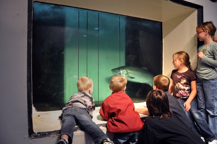 Group watches a fall chinook swim past the north shore fish window at McNary Dam.  