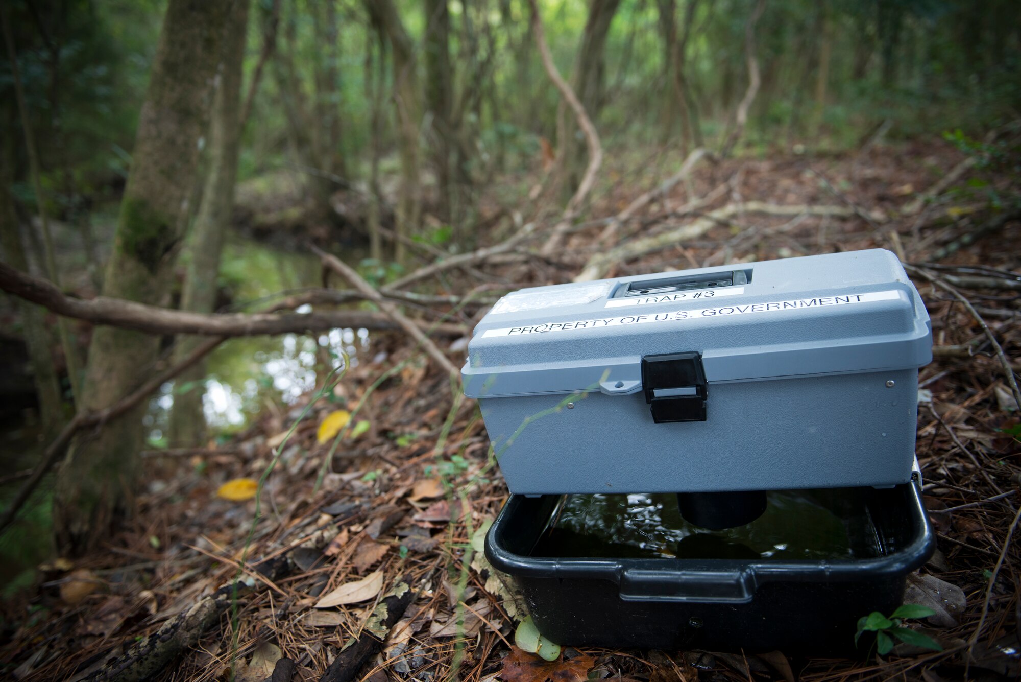A mosquito trap is set at Moody Air Force Base, Ga., Oct. 5, 2012. This trap is designed to trap female mosquitoes when they attempt to lay eggs in the water. (U.S. Air Force photo by Senior Airman Douglas Ellis/Released)
