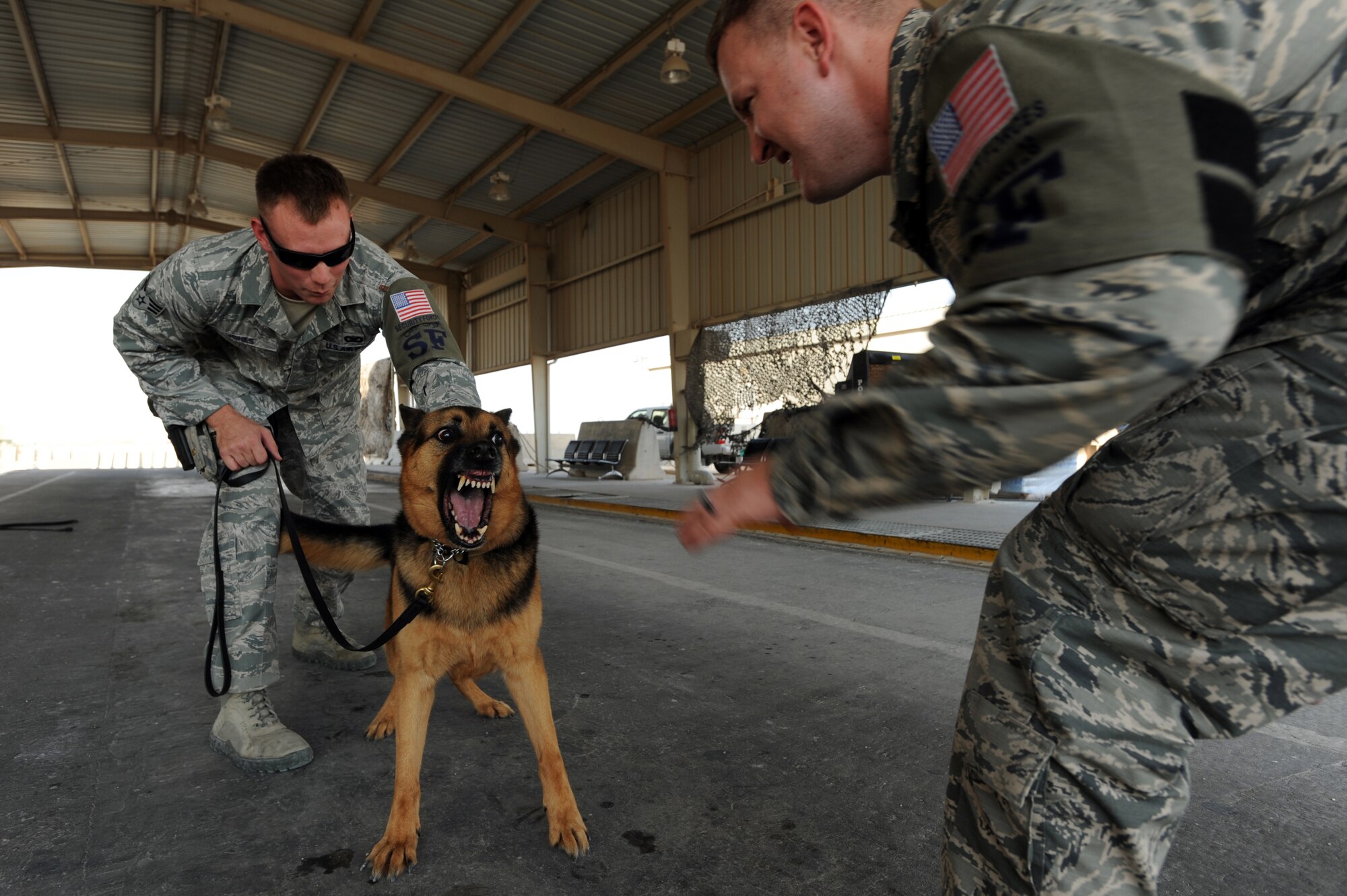 U.S. Air Force Staff Sgt. Jeremy Hayes (left) tries to attack Rex, a military working dog, as his handler Senior Airman Brett Jones restrains him in a controlled aggression exercise, October 1, 2012 in the 379th Air Expeditionary Wing, Southwest Asia. Military working dogs continuously train even in deployed locations. (U.S. Air Force photo/Staff Sgt. Sheila 