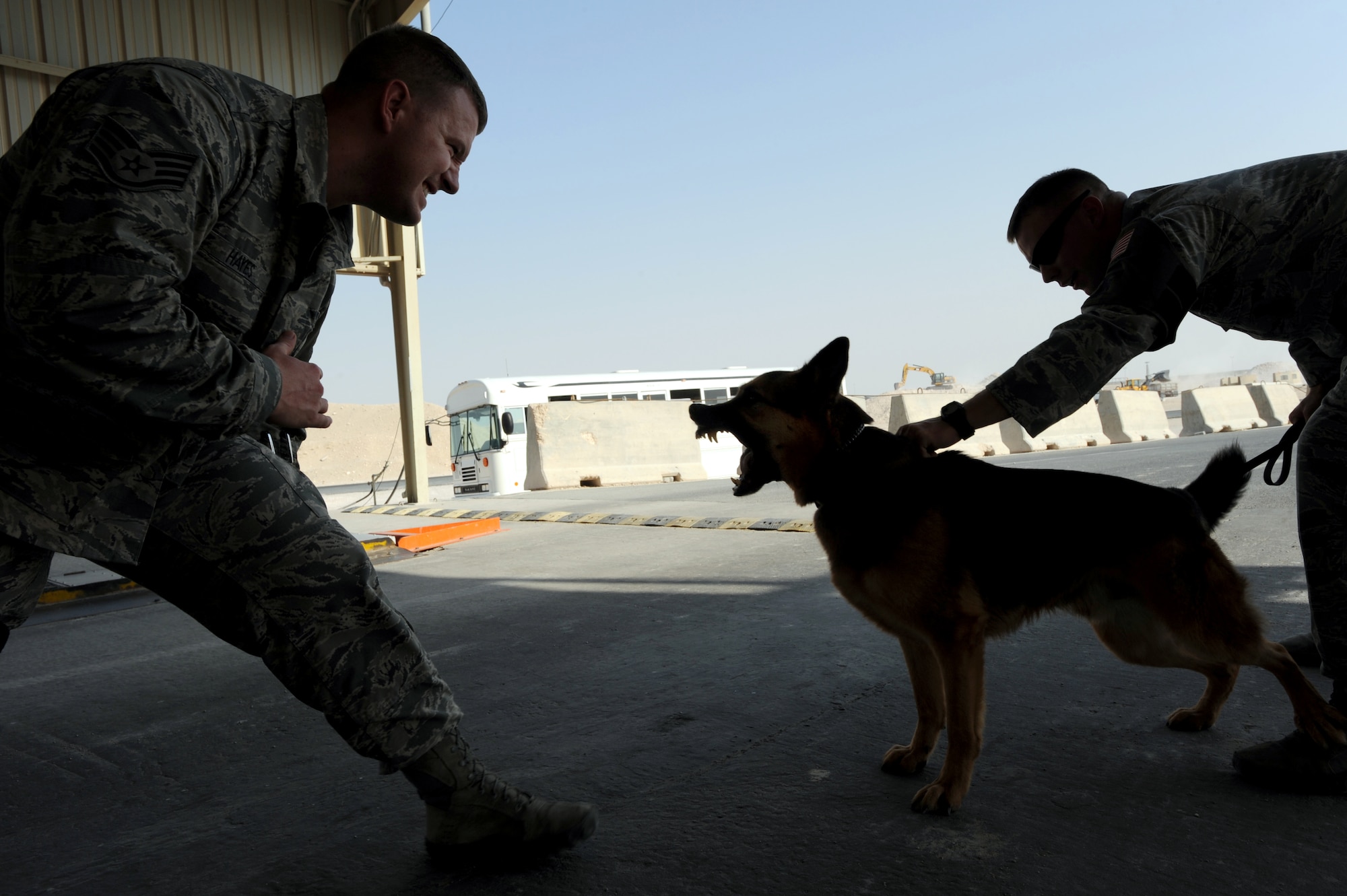 U.S. Air Force Staff Sgt. Jeremy Hayes (left) tries to attack Rex, a military working dog, as his handler Senior Airman Brett Jones restrains him in a controlled aggression exercise, October 1, 2012 in the 379th Air Expeditionary Wing, Southwest Asia. Military working dogs continuously train even in deployed locations. (U.S. Air Force photo/Staff Sgt. Sheila 