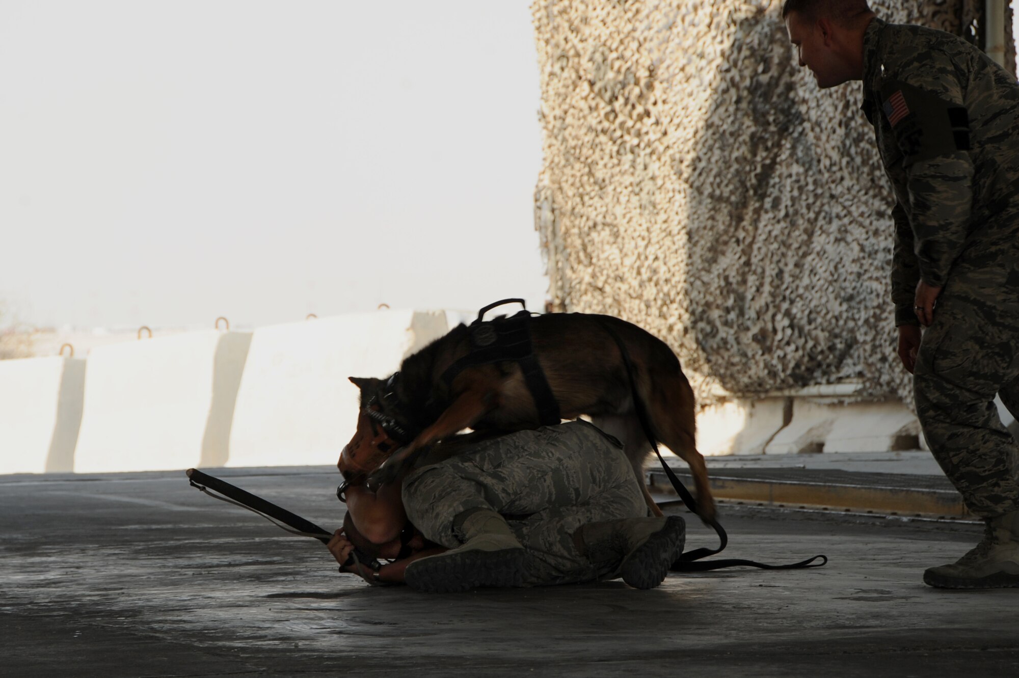 U.S. Air Force Staff Sgt. Travis Betty, a decoy, protects himself while Toki, a military working dog, attacks him during muzzle aggression training, October 1, 2012 in Southwest Asia. The muzzle training is to protect the decoy when a military working dog is released to attack. (U.S. Air Force photo/Staff Sgt. Sheila deVera)