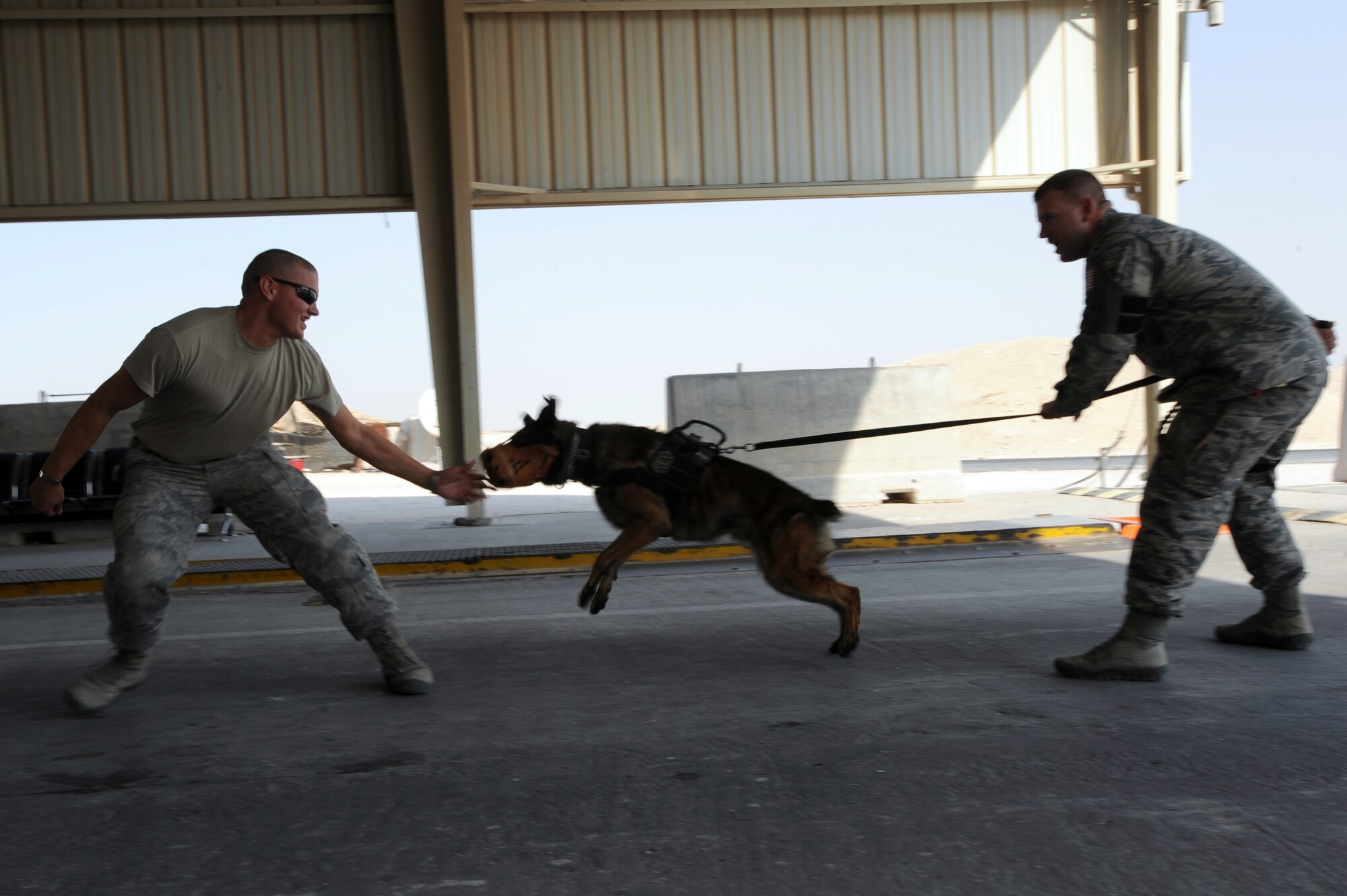 U.S. Air Force Staff Sgt. Travis Beatty (left), a decoy, tries to attack military working dog, Toki, while being restrained by SSgt. Jeremy Hayes during muzzle aggression training, October 1, 2012 in Southwest Asia. The muzzle training is to protect the decoy when a military working dog is released to attack. All are assigned to the 379th Expeditionary Security Forces Squadron. (U.S. Air Force photo/Staff Sgt. Sheila deVera)