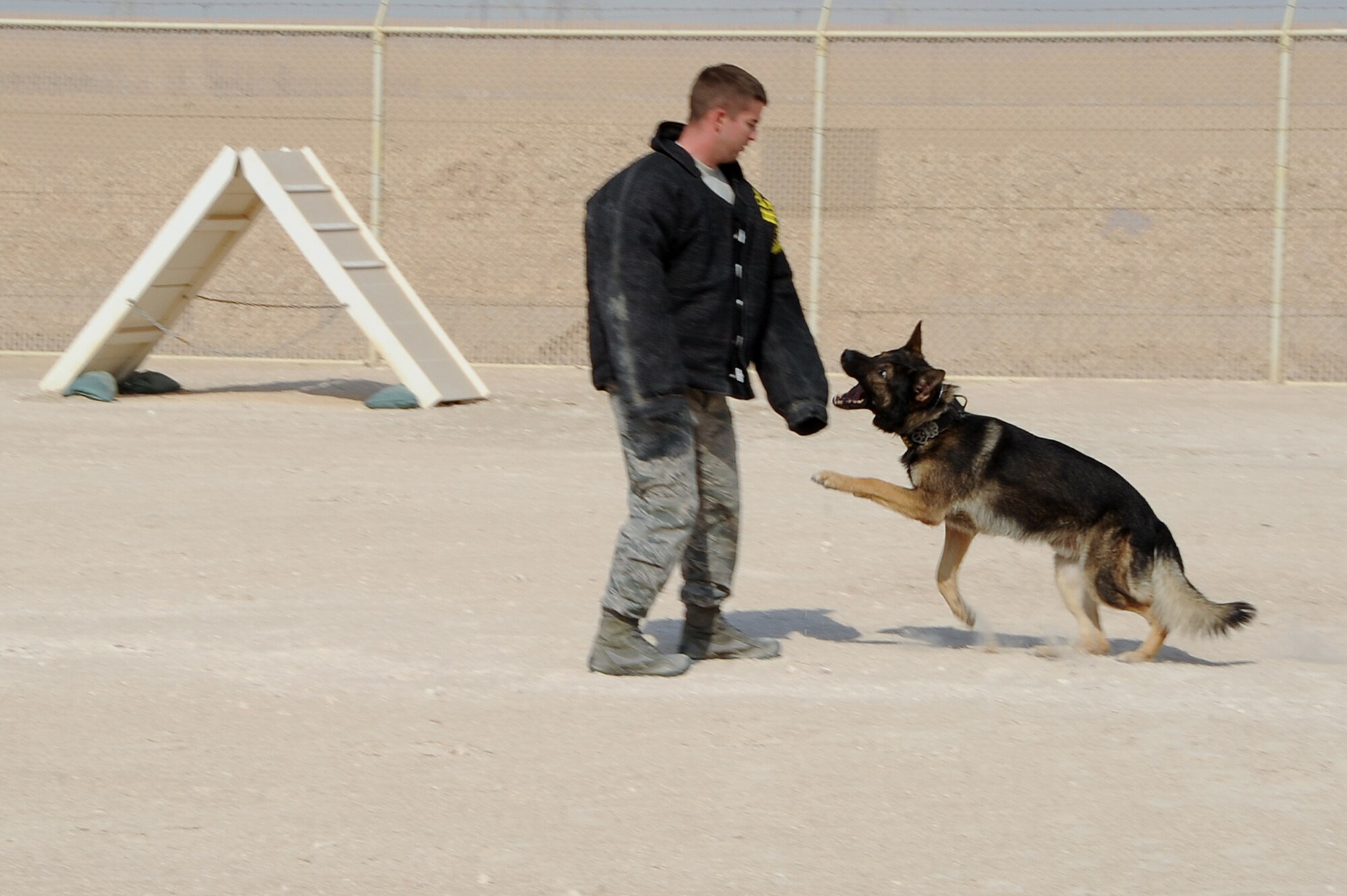 U.S. Air Force military working dog, Makoy, attacks Senior Airman Terry Pasko after Makoy received a command from his handler to attack in a controlled aggression exercise, October 1, 2012 in Southwest Asia. Military working dogs continuously train even in deployed locations. (U.S. Air Force photo/Staff Sgt. Sheila deVera)