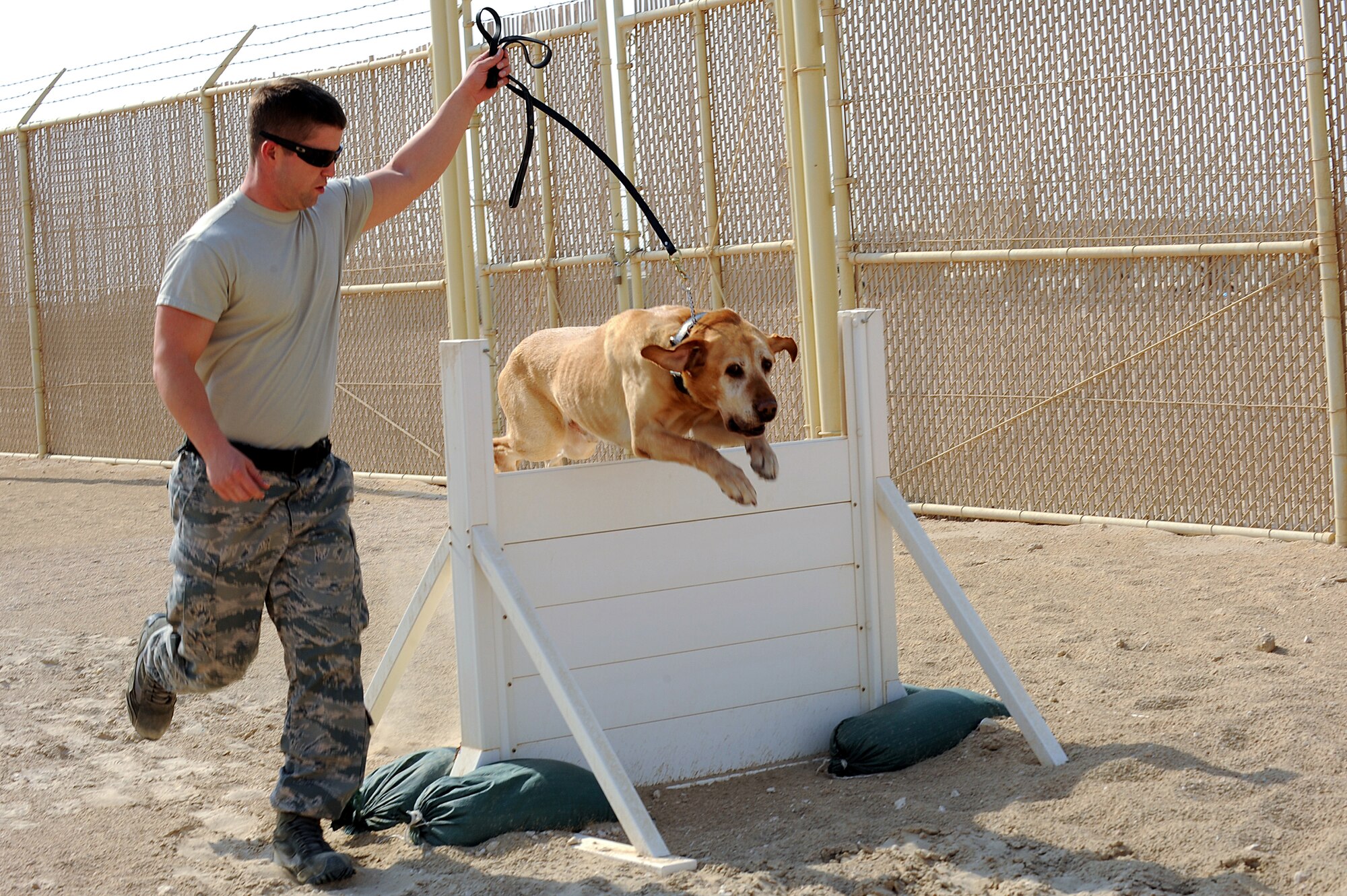 U.S. Air Force Senior Airman Terry Pasko, 379th Expeditionary Security Forces Squadron dog handler, guides military working dog Guero, over an obstacle course, October 1, 2012 in Southwest Asia. Military working dogs are used throughout the Air Force and the U.S. military for detecting drugs and explosives, deterring threats and protecting their handlers.  Both are deployed from the 11th Security Support Flight, Joint Base Andrews Air Force Base, M.D. (U.S. Air Force photo/Staff 