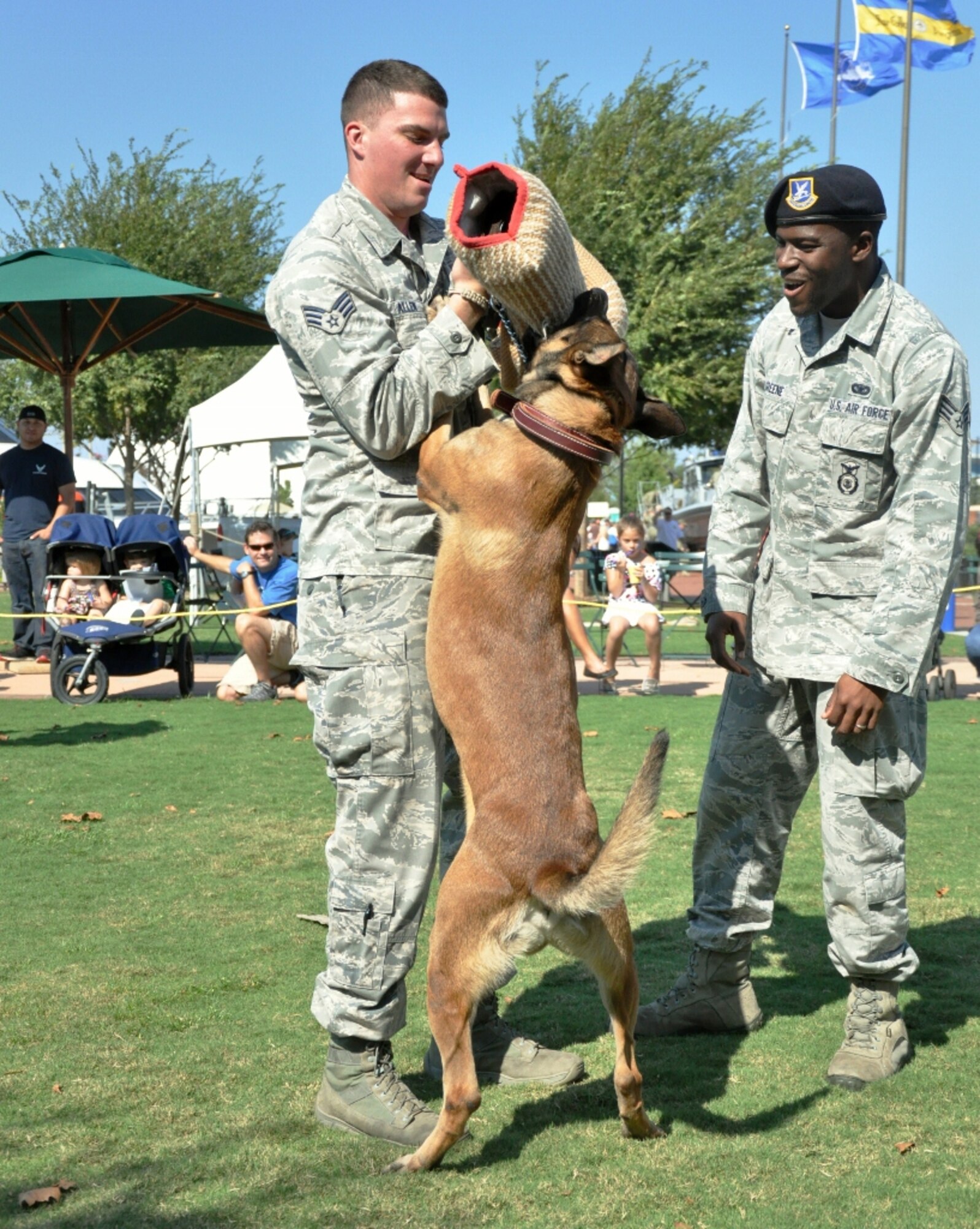 U.S. Air Force Senior Airmen Jeremy Allen (left) and Jeffrey Greene, 633rd Security Forces Squadron military working dog handlers, execute a bite routine during a MWD demonstration at the Norfolk Children's Festival at Town Point Park in downtown Norfolk, Va., Oct. 6, 2012. The Airmen visited the festival to entertain and educate the public about the important mission of MWDs and handlers. (U.S. Air Force photo by Senior Airman Jason J. Brown/Released)