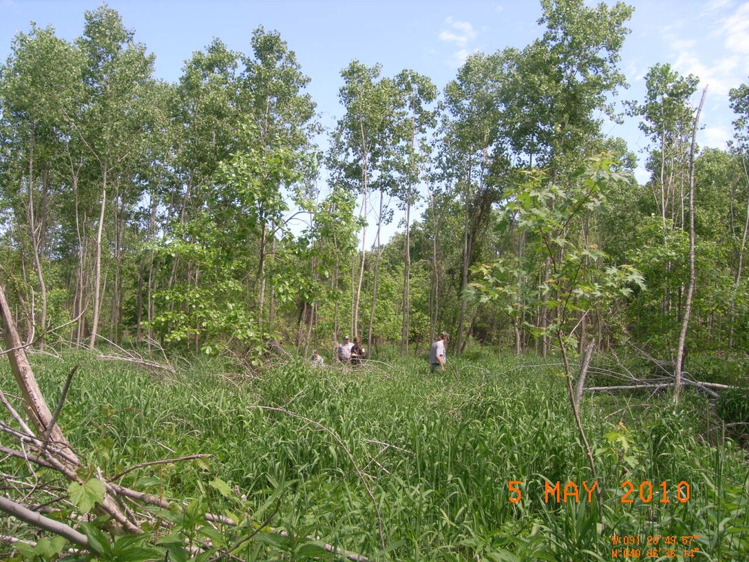 The Mississippi River Project Foresters are shown here near Pool 21 of the Upper Mississippi River.