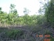 The Mississippi River Project Foresters are shown here near Pool 21 of the Upper Mississippi River.