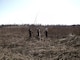 The Mississippi River Project Forestrers are shown here near Pool 21 of the Upper Mississippi River. 
