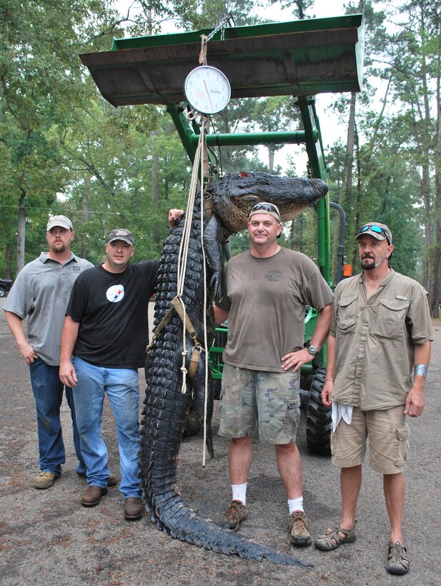 Four warriors attending the hunt are from left to right, Cody E. Hammer, former corporal, USMC, Army Sgt. Sam Boorse, Army Sgt. 1st Class William R. Poe and Army Staff Sgt. (ret.) William Bighouse. The four posed with Poe's catch, a 12-foor 2-inch, 450-pound alligator caught on B. A. Steinhagen Lake.