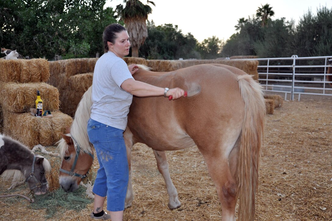 Maj. Misty Sorensen, 926th Group process manager, brushes a horse Oct. 3 at The Farm in preparation for its Fall Harvest Festival. Each year The Farm depends on volunteers from the community to maintain operations. (U.S. Air Force photo/Maj. Jessica Martin)