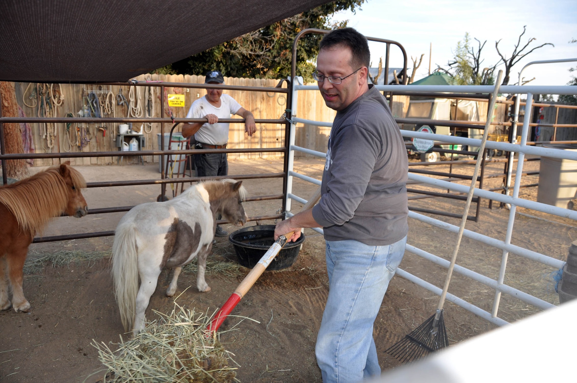 (Front) Tech. Sgt. Franklin Warner, 926th Group Recruiting Service, cleans a haflingers' stall Oct. 3 at The Farm in preparation for its annual Fall Harvest Festival. Group members discovered The Farm when seeking out ways to contribute to the local community. (U.S. Air Force photo/Maj. Jessica Martin)