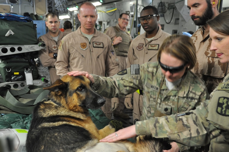 Several Med Techs comfort and check up on "Athos," a Military Working Dog with the Czech Republic Army, during a MEDEVAC flight aboard a C-17 Globemaster II from Bagram Airfield to Ramstein Air Base, Germany. The crew believed the flight may have been the first time a Military Working Dog was allowed to remain conscious during flight. The Air Force's Strategic Transitory Care process ensures wounded warriors are kept safe and receive consistent care throughout the journey from Afghanistan through Germany to the United States. (U.S. Air Force photo/TSgt Shawn David McCowan)