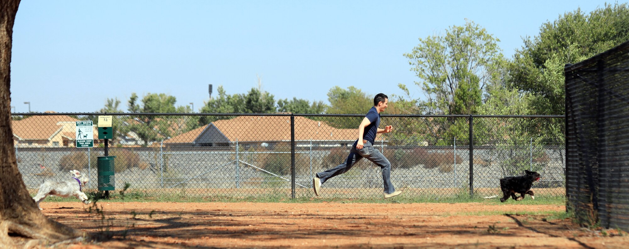 Schnauzers and an Airman run together in the new dog park at Cannon Air Force Base, N.M., Oct. 2, 2012.  The dog park includes two fenced-in areas for large and small dogs to play separately. (U.S. Air Force photo/Senior Airman Jette Carr)