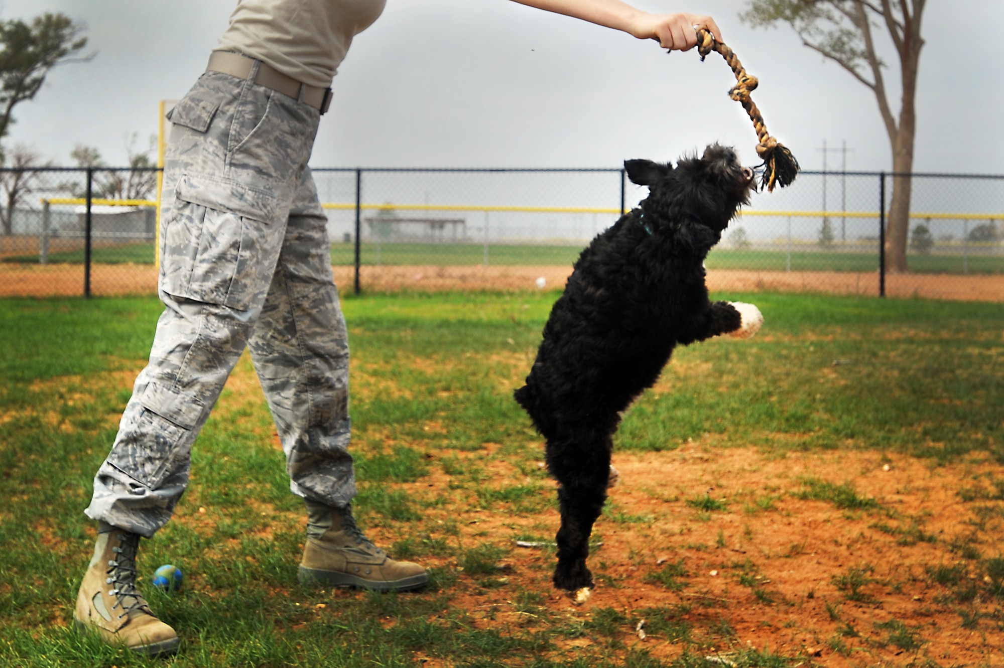 U.S. Air Force Senior Airman Jette Carr, 27th Special Operations Wing Public Affairs, plays tug-o-war with her puppy at the new dog park at Cannon Air Force Base, N.M., Oct. 11, 2012.  The dog park includes two fenced-in areas for large and small dogs to play separately. (U.S. Air Force photo/Desiree Ann Montenegro)