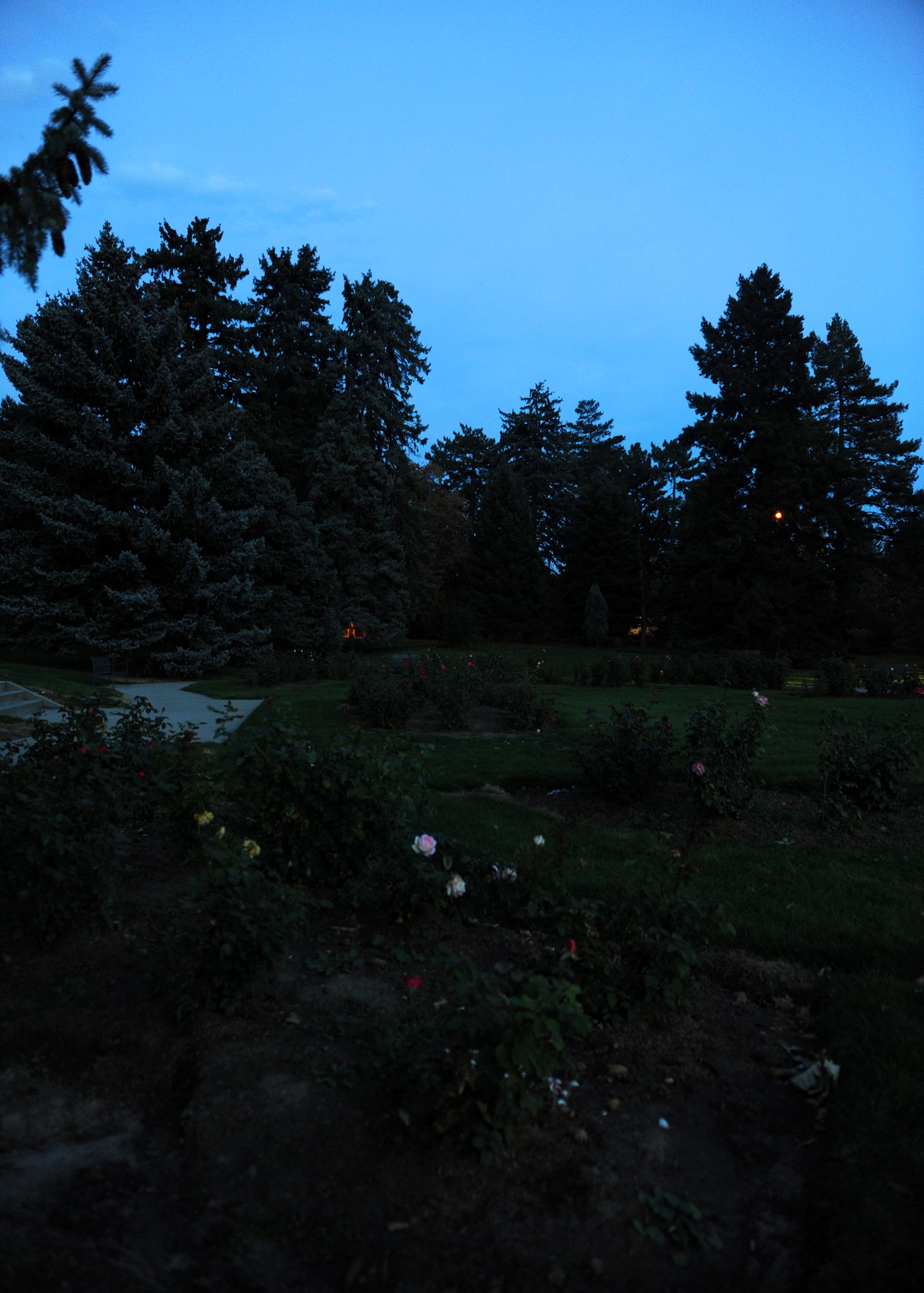 DENVER, Colo.–  An uneasy feeling accompanies the dark in Cheesman Park Oct. 12, 2012. The rose maze is a beautiful place to get lost during the day, but tread carefully at night; any place you stand could be a forgotten grave. (U.S. Air Force photo by Senior Airman Marcy Glass)