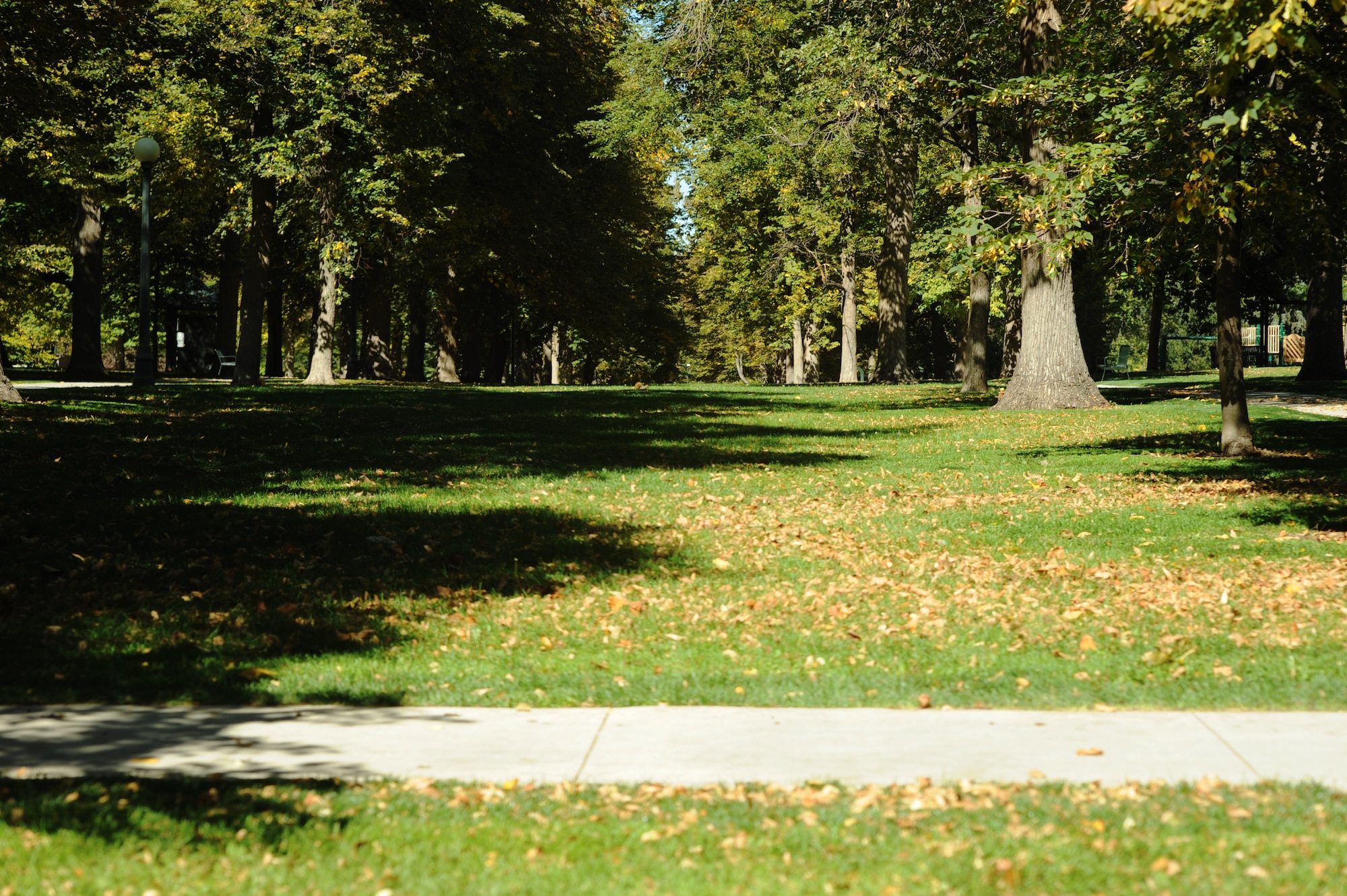 DENVER, Colo. – The sun illuminates Cheesman Park which is located at the former site of Mount Prospect Cemetery, Oct. 2, 2012. In 1872 the city of Denver began renovating the cemetery, moving the deceased to various cemeteries in the local area. (U.S. Air Force photo by Airman 1st Class Phillip Houk)