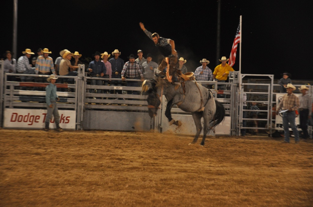 barstow rodeo chaps