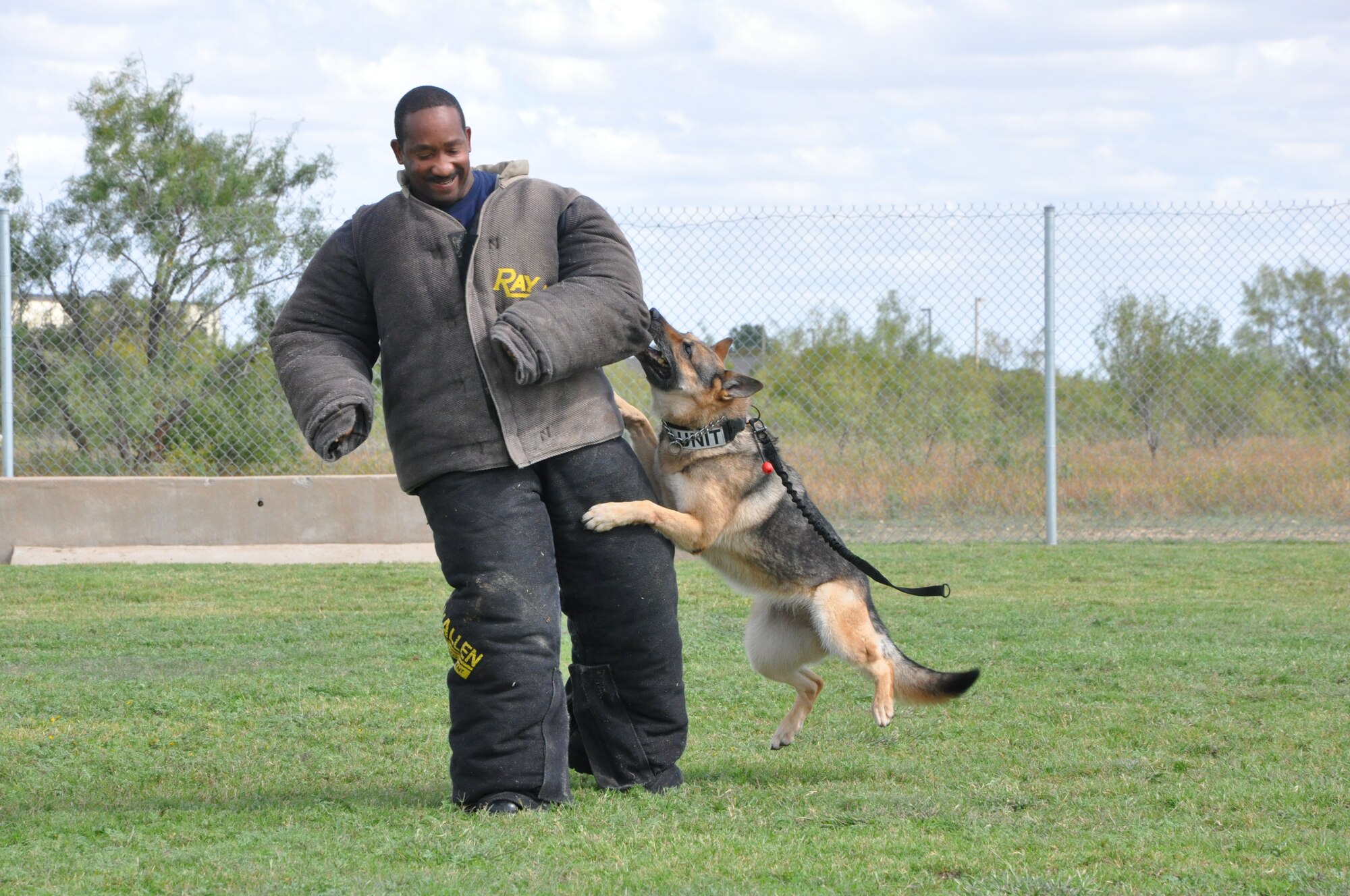 GOODFELLOW AIR FORCE BASE, Texas- Navy Lt. Commander Cornell Woods, Navy Center for Information Dominance Detachment officer-in-charge, wears a protective suit while attacked by one of the base Security Forces K-9 unit’s dogs at the Combined Federal Campaign finale Oct. 12, here.  Base leaders volunteered to help out with the finale by dressing in protective wear and allowing, under a controlled environment, for the trained dogs to attack and take them down while attendees made contributions to the CFC. (U.S. Air Force photo/ Airman 1st Class Erica Rodriguez)
