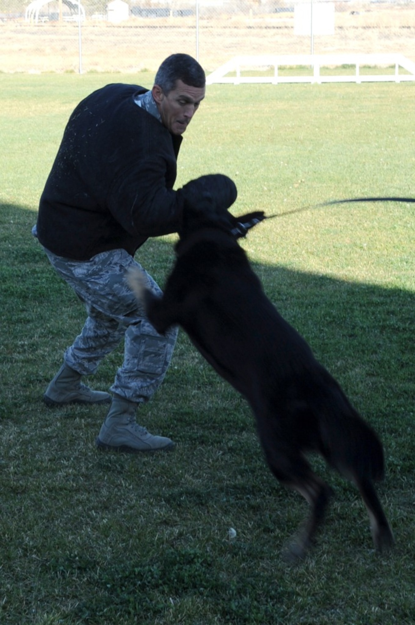 U.S. Air Force Chief Master Sgt. Richard Parsons, command chief master sergeant Air Combat Command, grapples with military working dog Olix at Mountain Home Air Force Base, Idaho, Oct. 10, 2012. After Parsons played decoy, he discussed current issues with Airmen. (U.S. Air Force photo/Staff Sgt. Roy Lynch/RELEASED) 