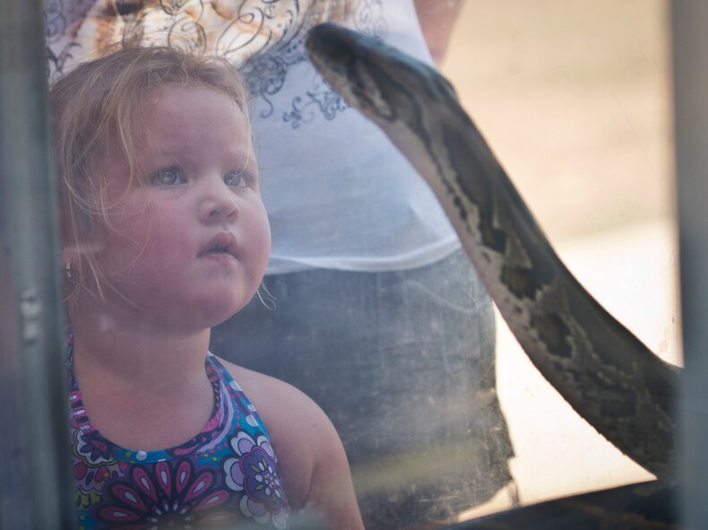 Emmi, the three-year-old daughter of Tech. Sgt. Paul Greene, of the 919th Maintenance Squadron, gets an up-close view of a python courtesy of the 6th Ranger Training Battalion’s reptile exhibit during Duke Field’s Family Day event Oct. 13.  The 919th Special Operations Wing sets aside a special day each year to show appreciation for its reservists and their family members.  Events include food, music, sports, children’s games, etc.  (U.S. Air Force photo/Tech. Sgt. Samuel King Jr.)