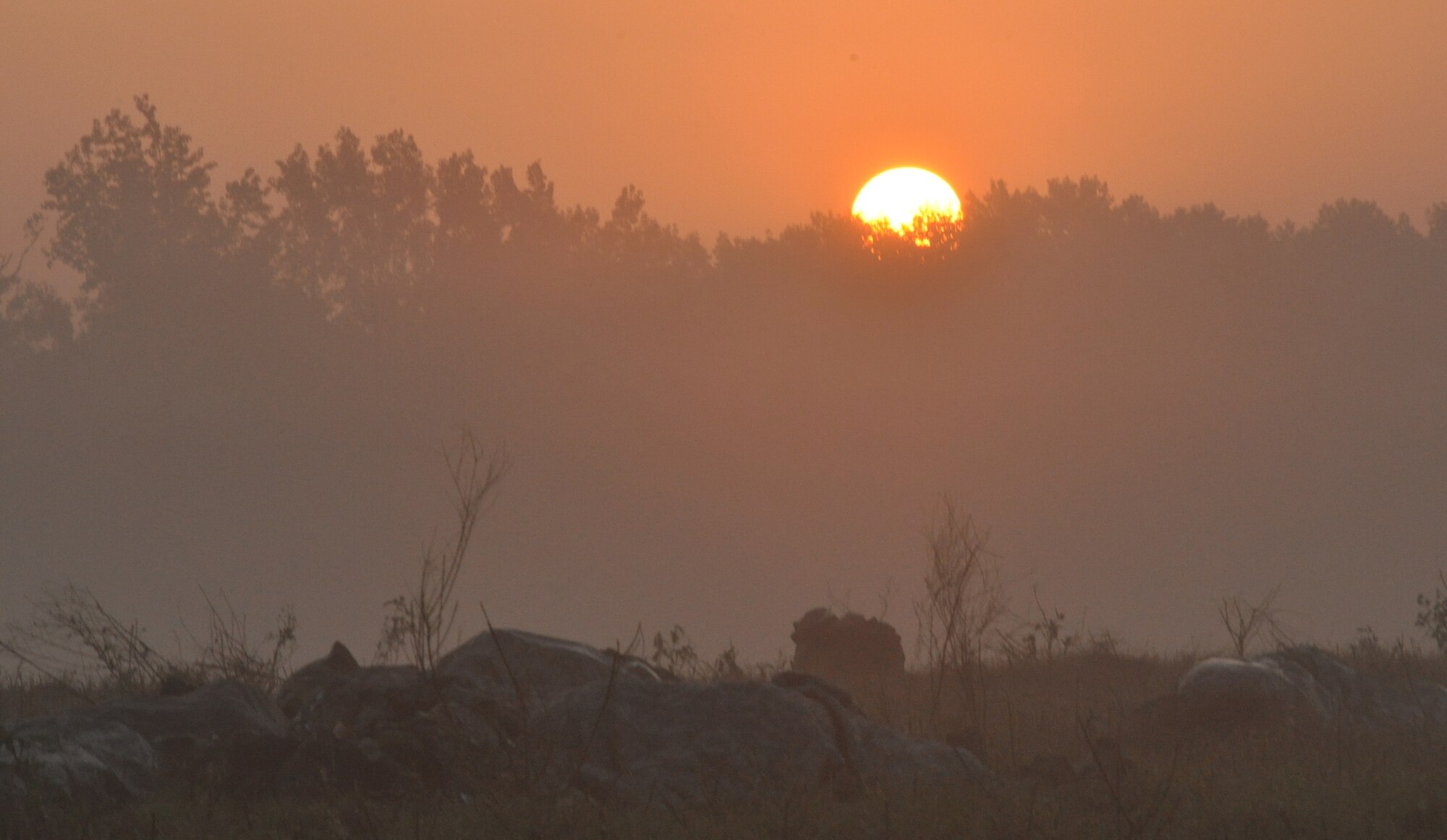 The sun appears over the treeline and dawns on Airmen and Soldiers sleeping outside during a Joint Readiness Training Center exercise Oct. 11, 2012, at Ft. Polk La. The exercise simulated a joint force’s capability to operate in a contentious environment. (U.S. Air Force photo by Staff Sgt. Jacob Barreiro)
 
