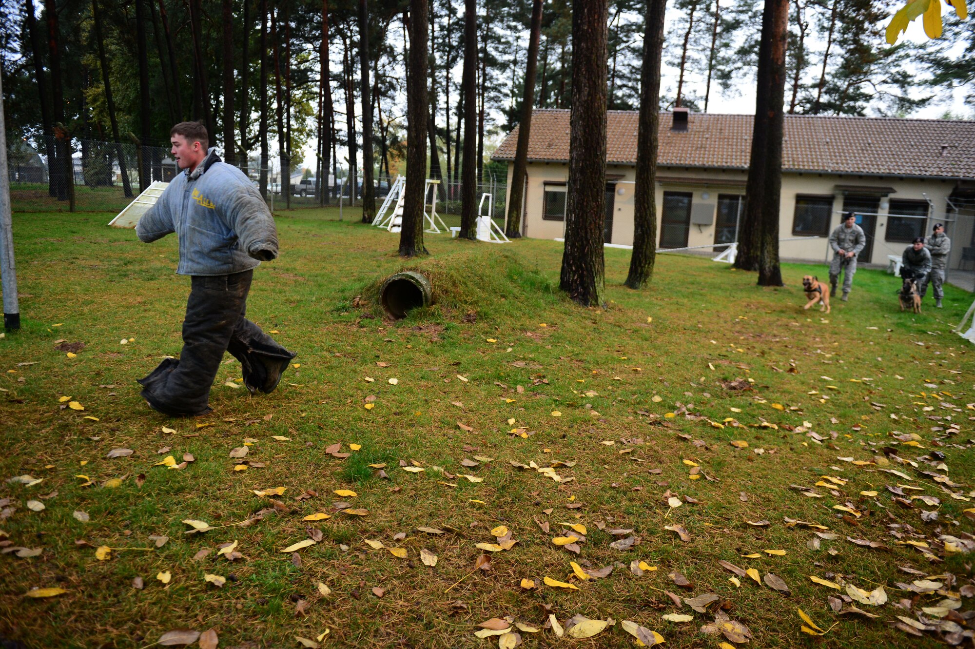 SPANGDAHLEM AIR BASE, Germany – Airmen from the 52nd Security Forces Squadron demonstrate the capabilities of their K-9 unit at the military working dog kennel Oct. 15, 2012.  Military working dogs go through an extensive training process before being used in real-world missions. (U.S. Air Force photo by Airman 1st Class Gustavo Castillo)