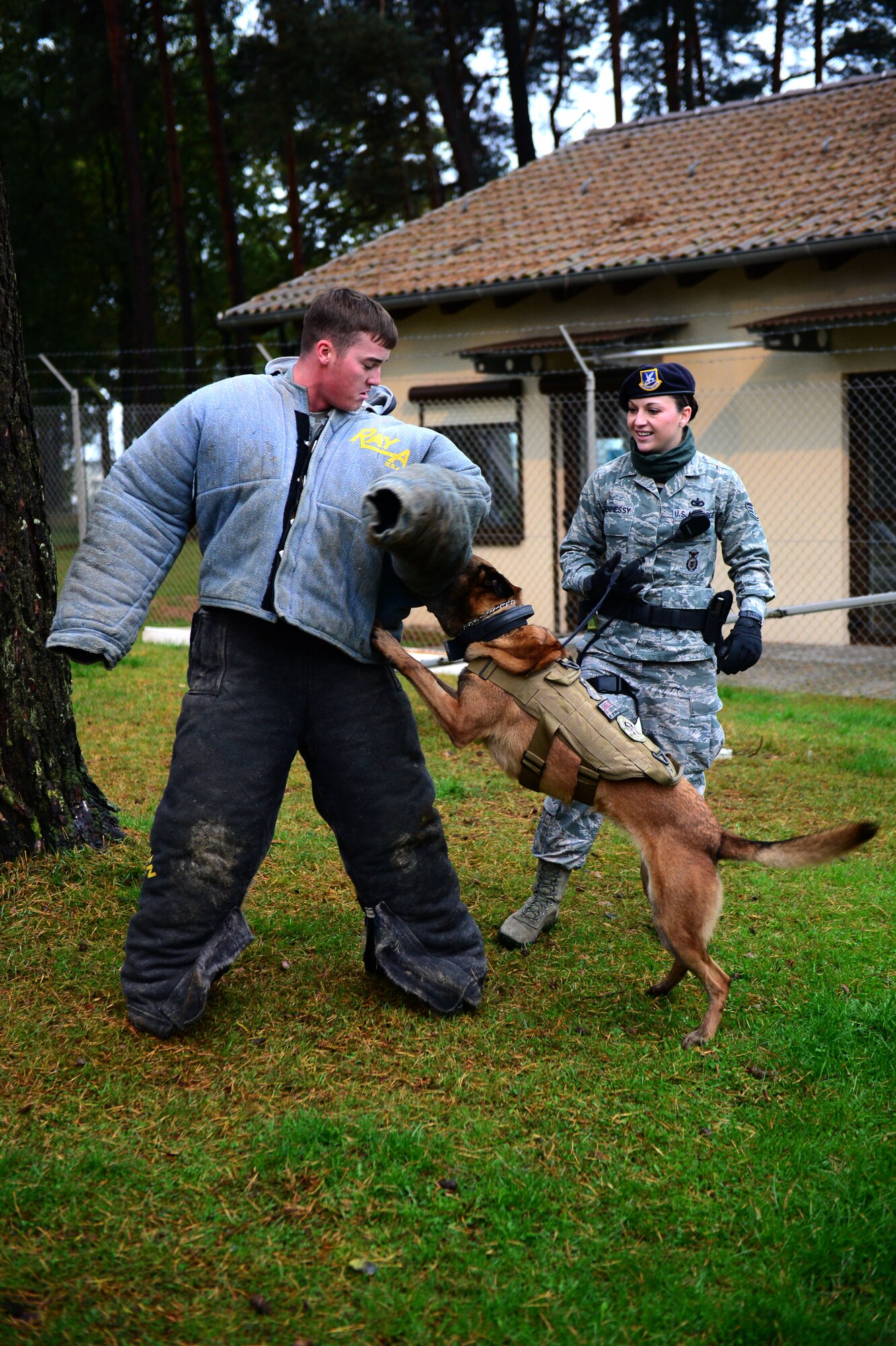 SPANGDAHLEM AIR BASE, Germany – U.S. Air Force Staff Sgt. Shannon Hennessy, 52nd Security Forces Squadron military working dog handler from Colusa, Calif., and her dog Katya, demonstrate K-9 unit capabilities on Senior Airman Gilbert Lundgren, military working dog handler from Kenosha, Wis., Oct. 15, 2012, at a K-9 unit demonstration.  German Shepherds and Belgian Malinois are the breed of dogs that make up the 52nd SFS military working dog unit. (U.S. Air Force photo by Airman 1st Class Gustavo Castillo/Released)