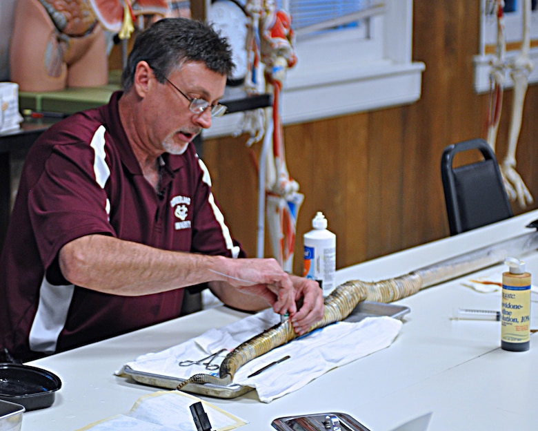 Danny Bryan, assistant professor in biology at Cumberland University implants a 51 inch timber rattlesnake   found at Center Hill Lake with a transmitter at Cumberland University. (USACE photo by Amy Redmond)