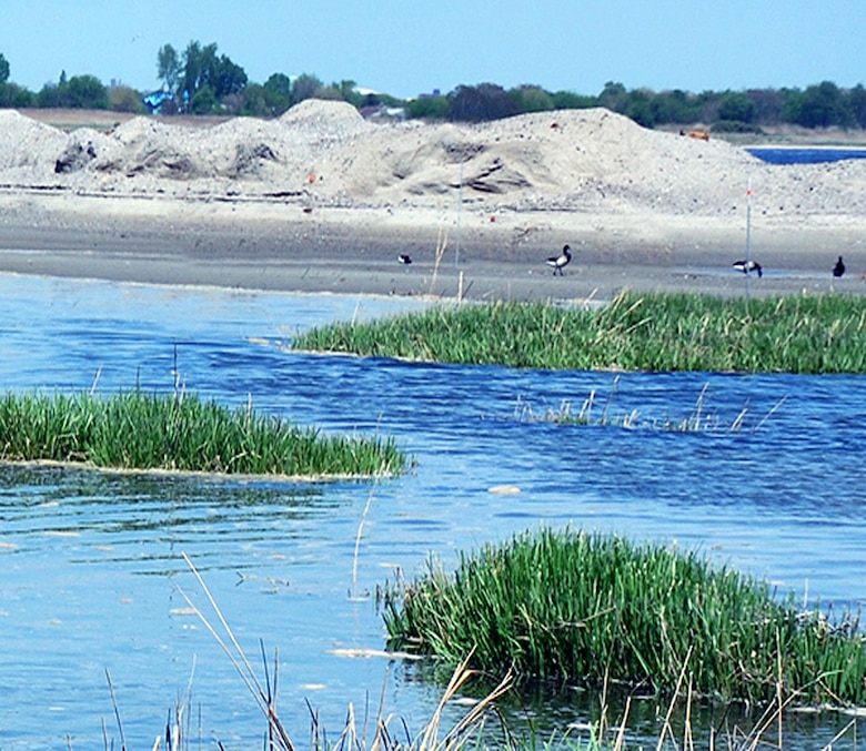 It is estimated that approximately 1,400 acres of tidal salt marsh have been lost from the marsh islands in Jamaica Bay, New York since 1924, with the system wide rate of loss rapidly increasing in recent years. From 1994 and 1999, an estimated 220 acres of salt marsh were lost at a rate of 47 acres per year.