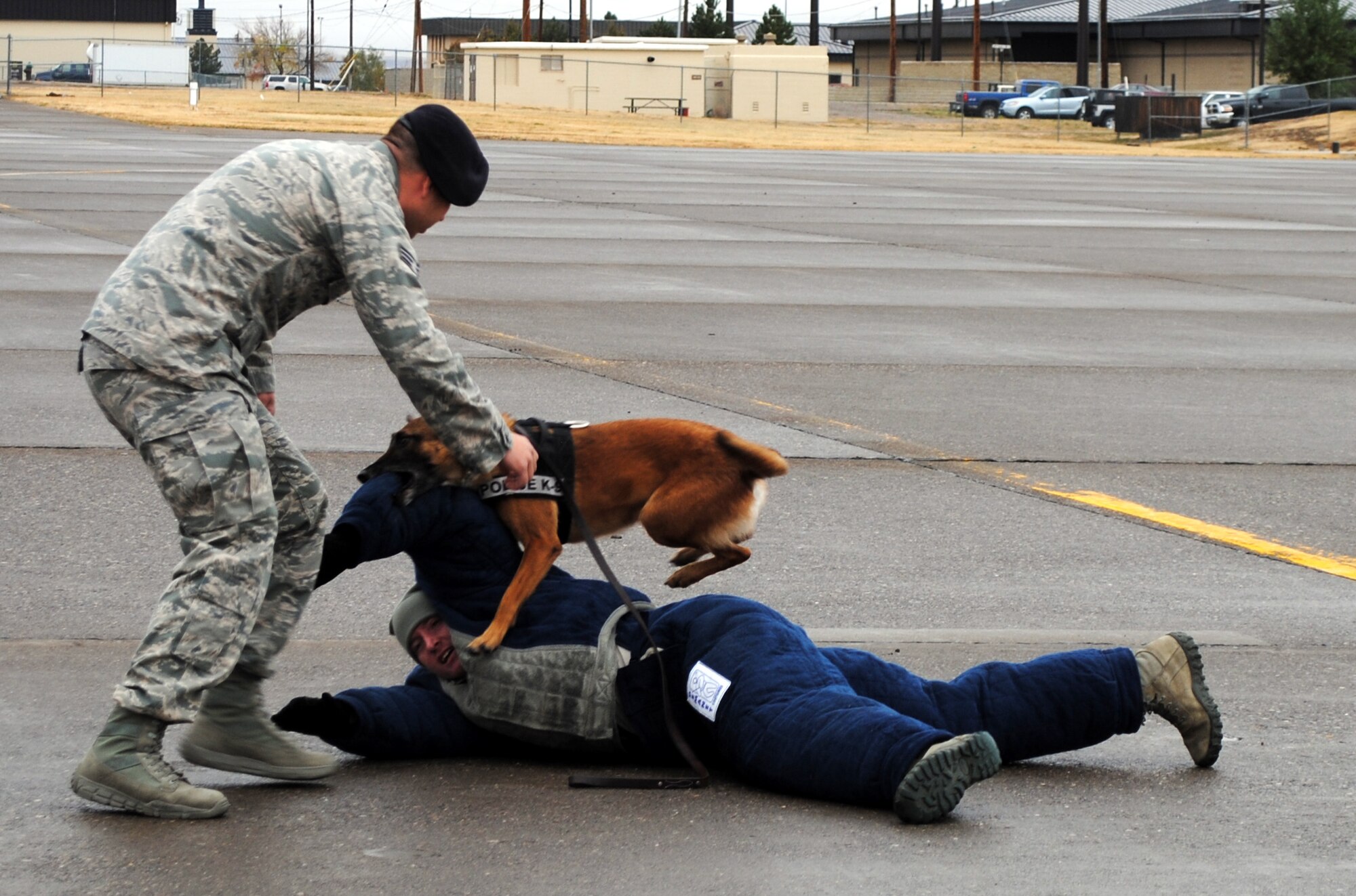 Senior Airman Kyle Kottas, 341st Security Forces Squadron, military working dog handler, left, demonstrates how to apprehend a subject as Senior Airman Michael Caruso, 341st SFS military working dog handler, lies on the ground during a controlled aggression demonstration on the flight line. Bibi, a 7 year-old Belgium Malinois, was the military working dog in the demonstration. (U.S. Air Force photo/Airman 1st Class Katrina Heikkinen)