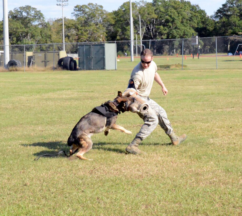 A K-9 demonstration by the 78th Security Forces Squadron was one of the many events Team Robins could experience during the Bash.(U. S. Air Force photo/Ed Aspera)