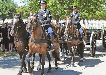 Soldiers from the Caisson section arrive to receive the casket during an interment Sept. 10 at the Fort Sam Houston National Cemetery. Four to six horses, harnessed in pairs, are used to pull a caisson. However, only the near or left-hand horses are ridden, so the rider has to control not only the horse he is riding but the one to the right of him – the “off horse.” (Photo by Staff Sgt. Corey Baltos, U.S. Army North Public Affairs)