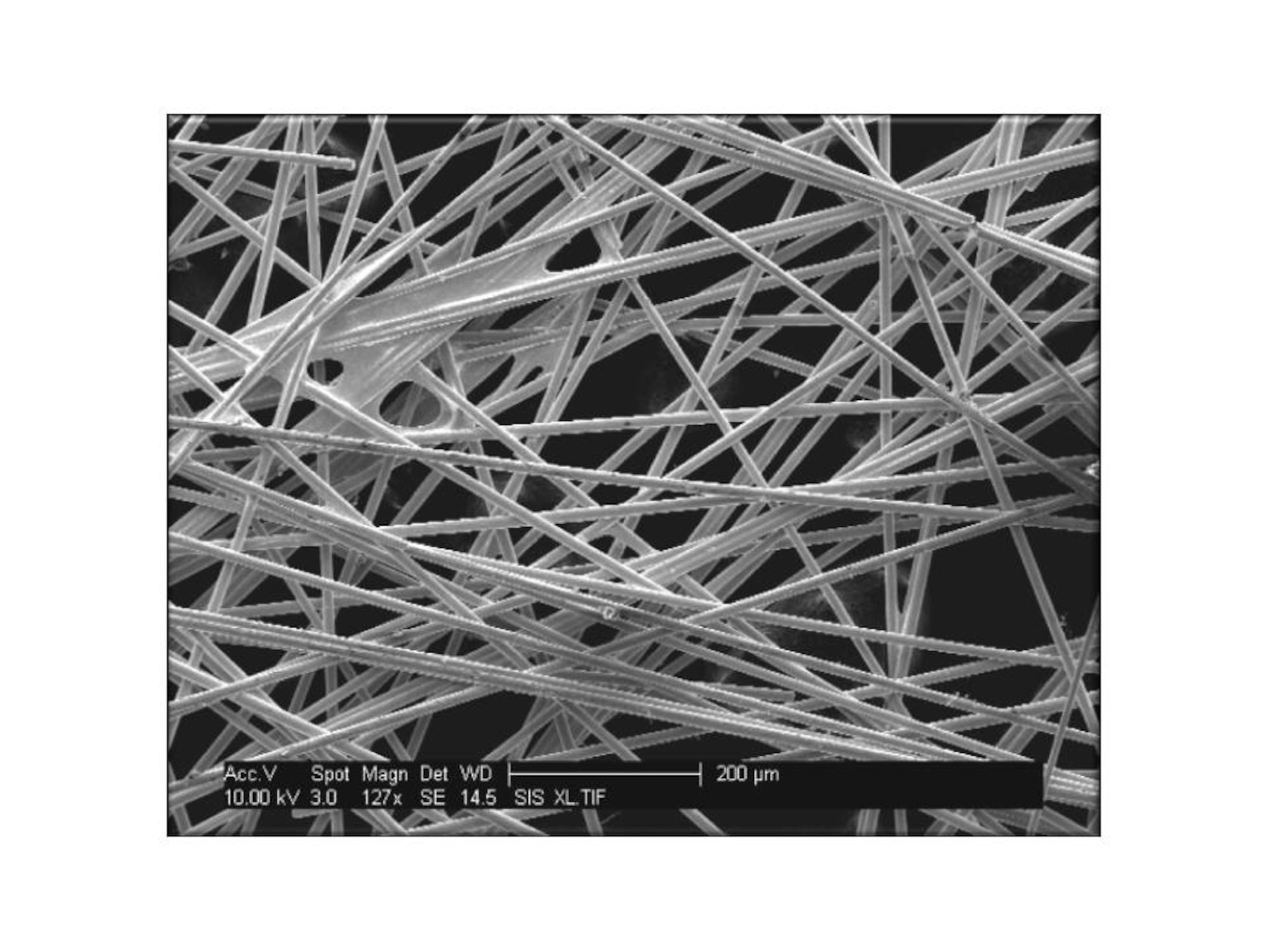 Chemical vapor deposition-coated nonwoven composites, which are used for electrical conductivity and electromagnetic shielding. Coated nonwovens are as light and conductive as carbon nanotube (CNT) sheets, and cost only a fraction of the price. This SIBR project was undertaken by AFRL and Conductive Composites Company.  (AFRL Image)