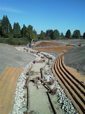 The Seattle District started construction of the Riverview Park Project, a $3 million project to build approximately 750 feet of new stream channel. Sponsored by the City of Kent, the new channel will flow through the middle of what will become a city park.  This is the first side channel construction under the Green/Duwamish Ecosystem Restoration Project. The channel, which opened recently, will provide critical Chinook salmon rearing habitat and establish a winter refuge for fish during high flows in the main stem of the Green River.