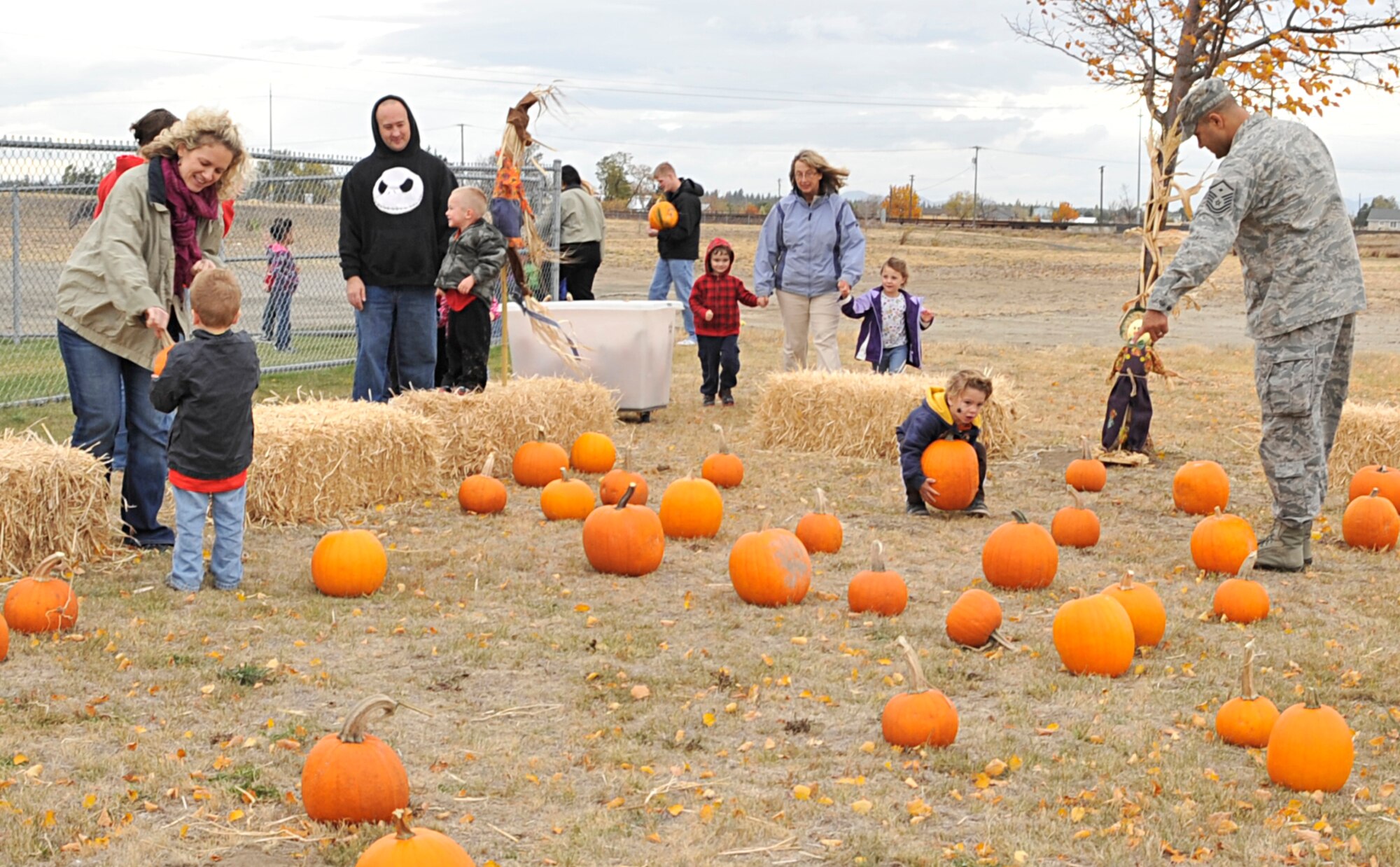 Children from the child development center begin searching for a pumpkin in the pumpkin patch with their parents outside of the center at Fairchild Air Force Base, Wash. Oct. 19, 2012. During the harvest fest party here, children got their face painted, rode in wagons and participated in other fall activities. (U.S. Air Force Photo by Airman 1st Class Mary O'Dell)