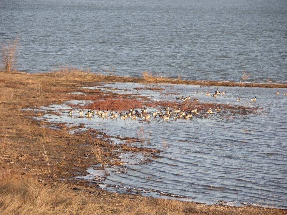 Kansas City District Hillsdale Lake