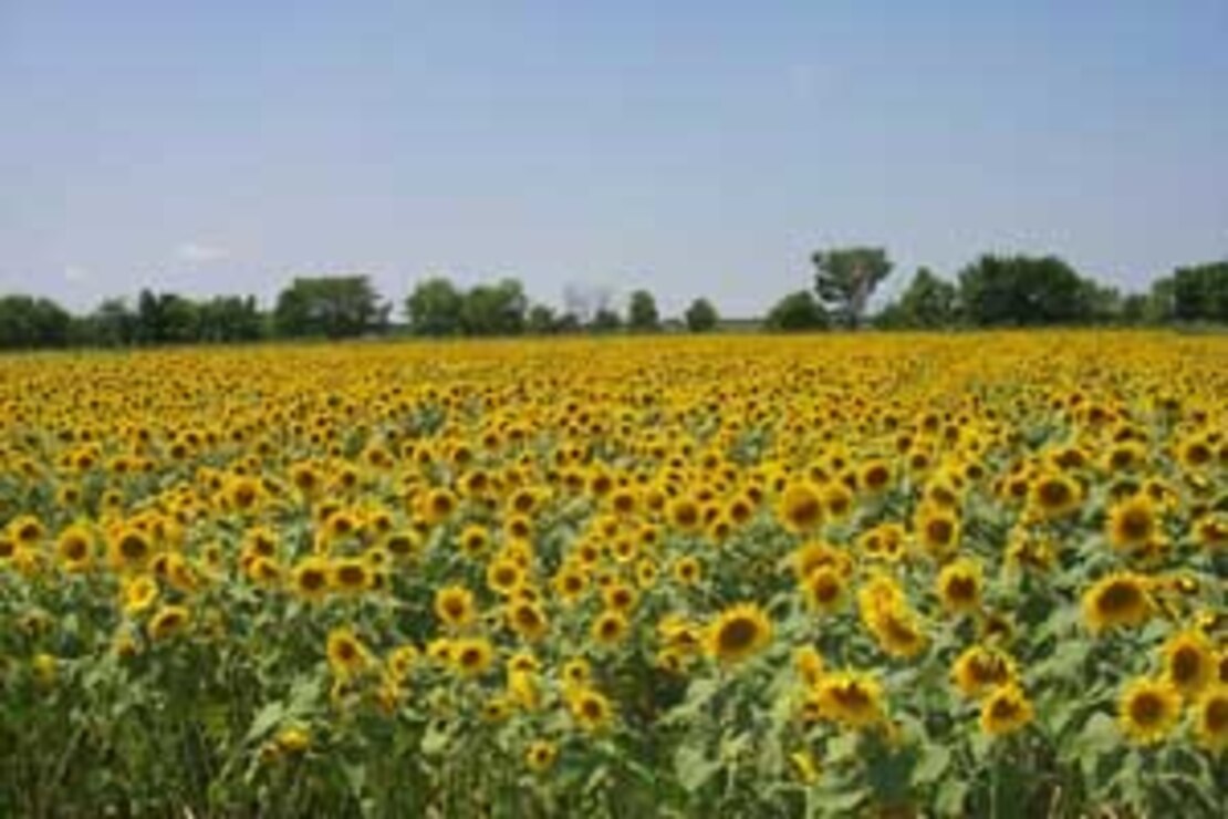 Kansas City District Hillsdale Lake