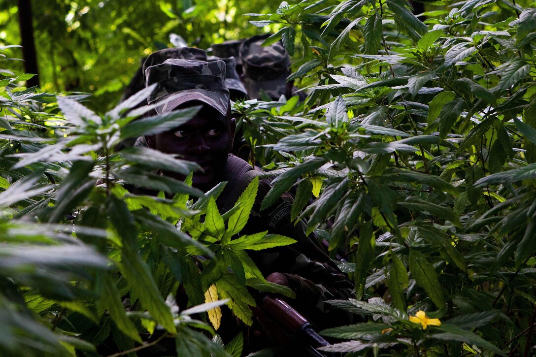 A Maldivian Marine leads his fire team through the bushes here Oct. 16, during the final raid for Exercise Coconut Grove 2012. The exercise is a bilateral training event conducted bi-annually between the U.S. Marine Corps and the Maldivian National Defense Force. 