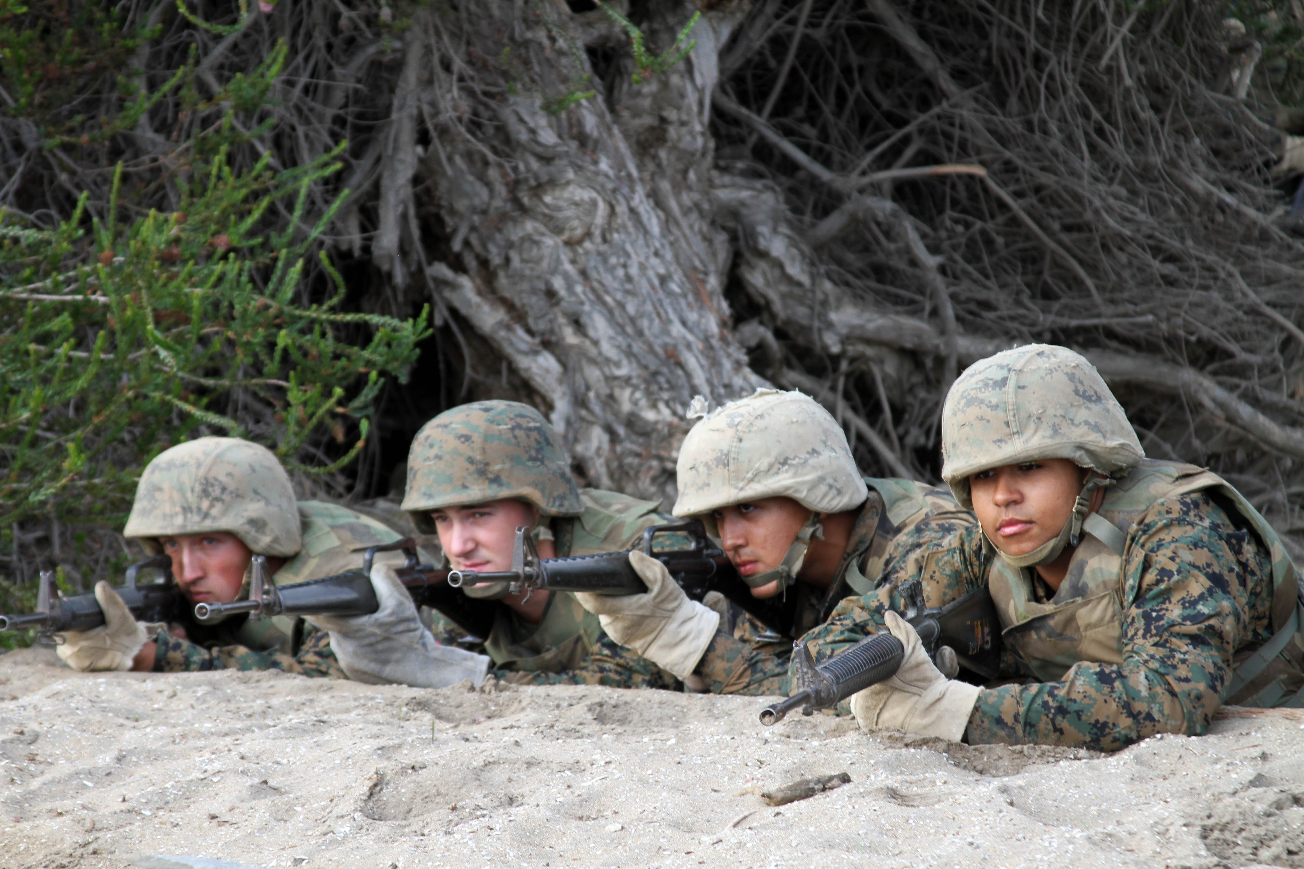 Company C, 1st Training Battalion, recruits go through the Bayonet ...