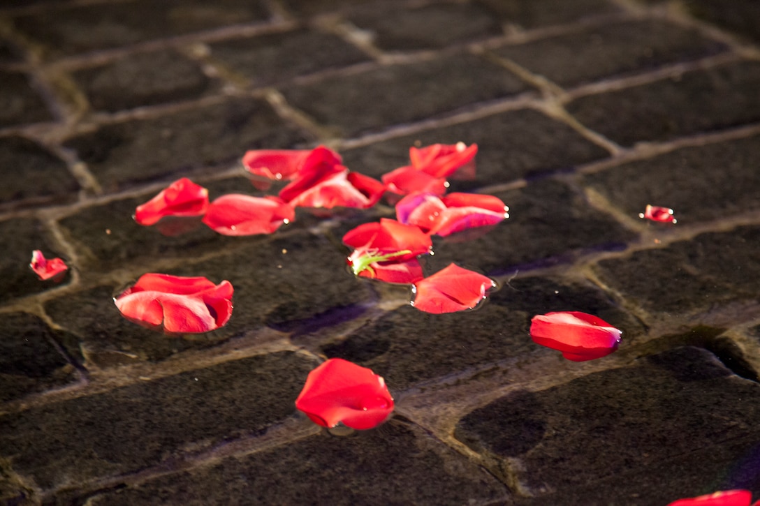 Rose petals float atop the reflection pool of the Women In Military Service For America Memorial Oct. 20, 2012. Volunteers dropped rose petals into the reflection pool in remembrance of the 53 women killed in support of Operations Iraqi and Enduring Freedom since the memorial’s 10th anniversary celebration five years ago.