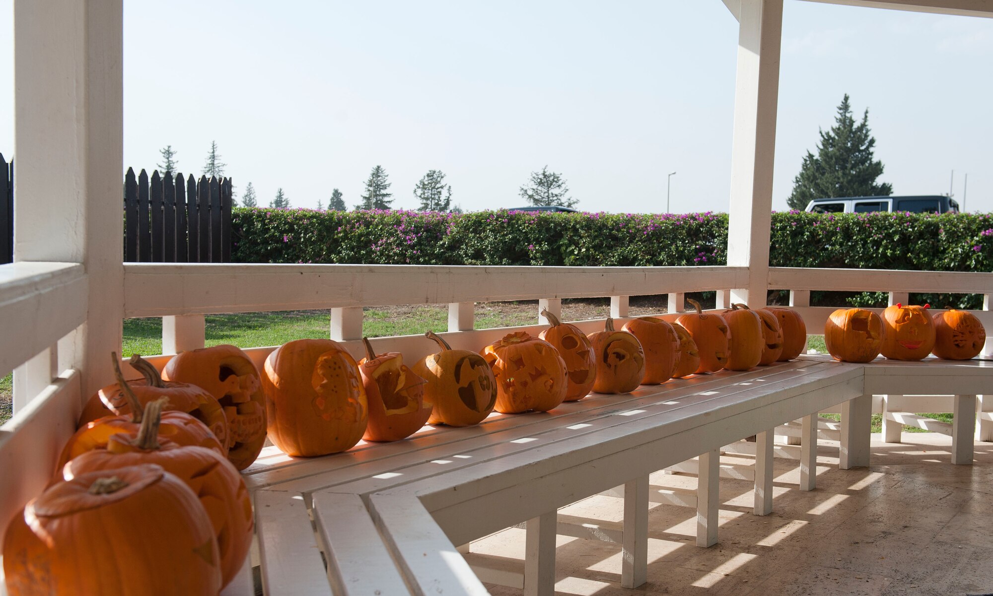 Carved pumpkins await judging during Fall Fest Oct. 20, 2012, at Incirlik Air Base, Turkey. Each contestant got to take their pumpkin home, and the winners of the contest received Army and Air Force Exchange Service gift cards. (U.S. Air Force photo by Senior Airman Clayton Lenhardt/Released)